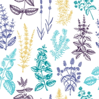 Mints and balms seamless pattern. Hand sketched aromatic and medicinal herbs background. Herbal tea ingredients. Mint plants in vintage style backdrop. For textile, wrapping, packaging.